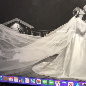 Cathedral length Wedding Veil